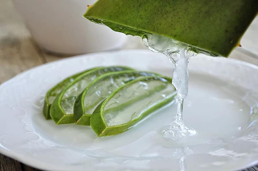 aloe vera levél a kutyánk bőrére